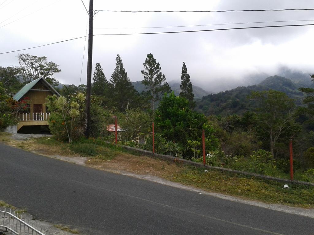 Autana Bed & Breakfast Boquete Extérieur photo