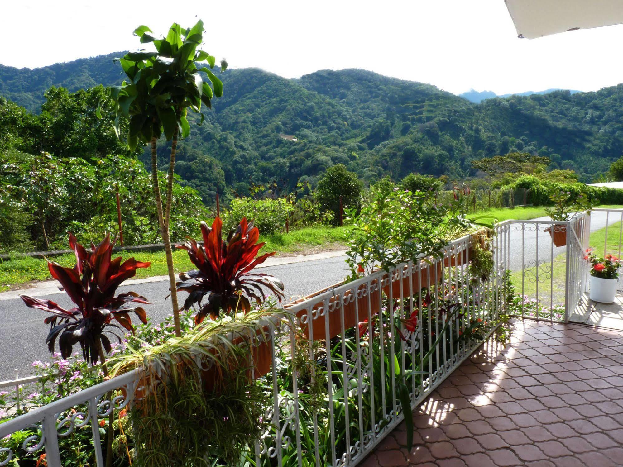Autana Bed & Breakfast Boquete Extérieur photo