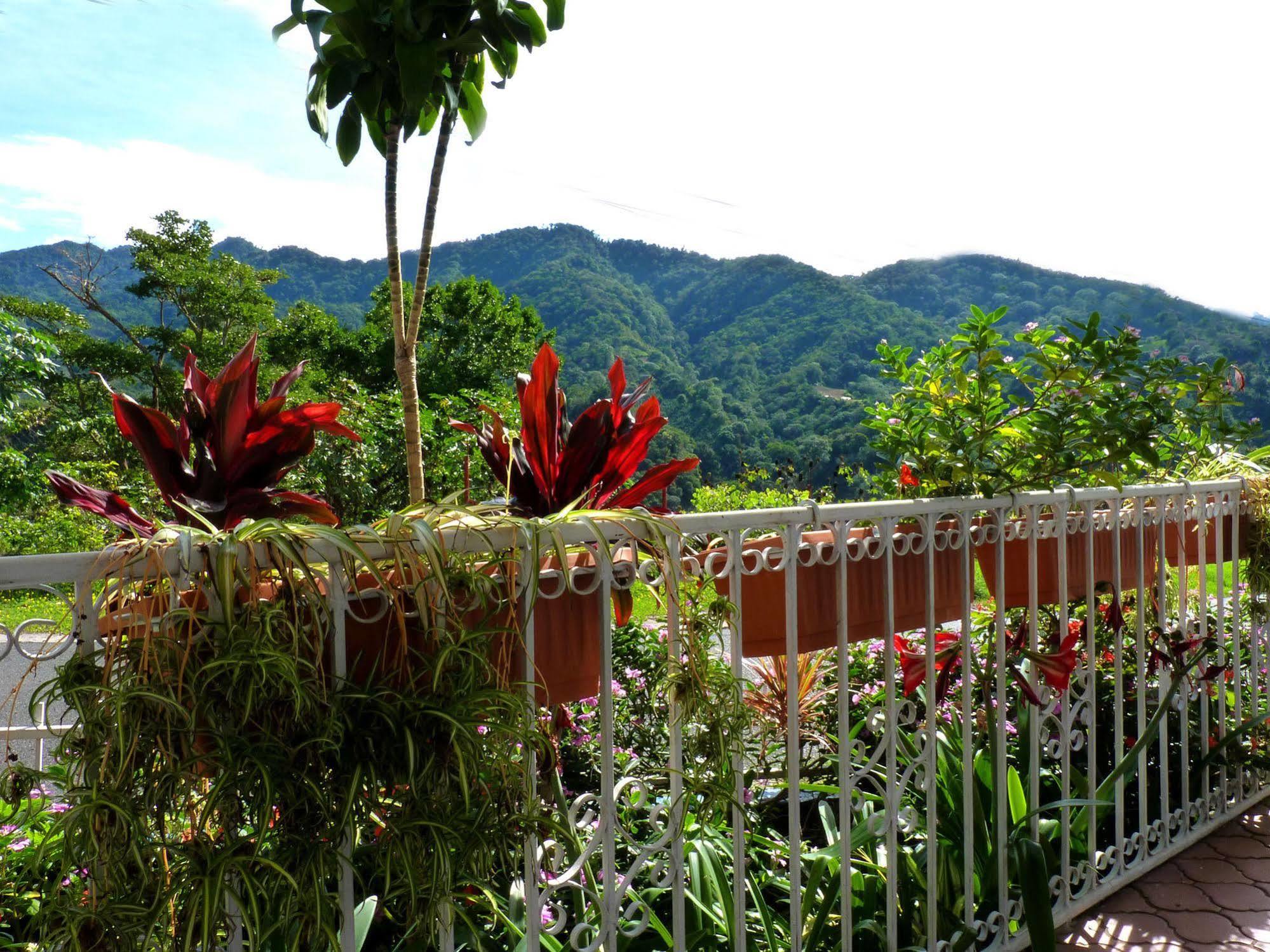 Autana Bed & Breakfast Boquete Extérieur photo
