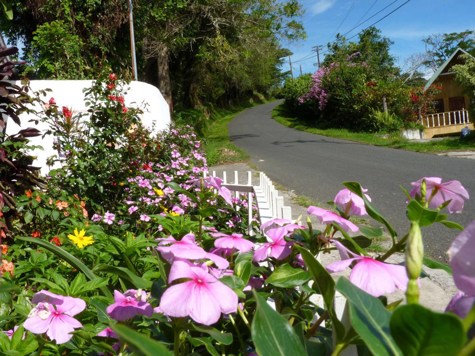 Autana Bed & Breakfast Boquete Extérieur photo